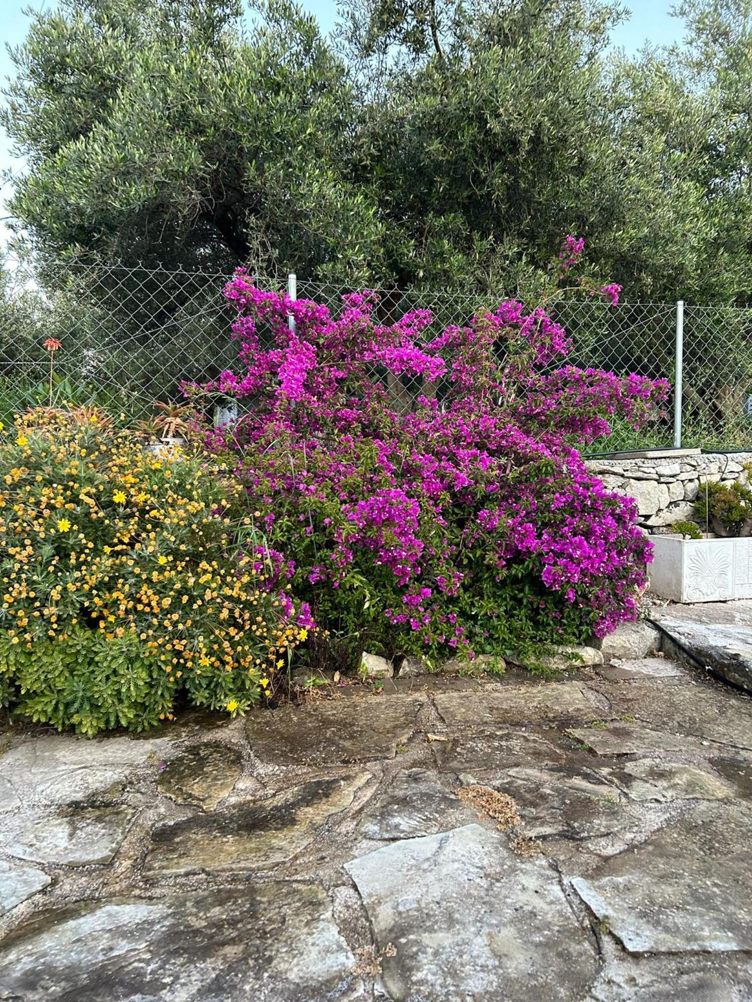 Old Stone Villa In Apokoronas Villa Nostalgia Kreta Filippos Экстерьер фото